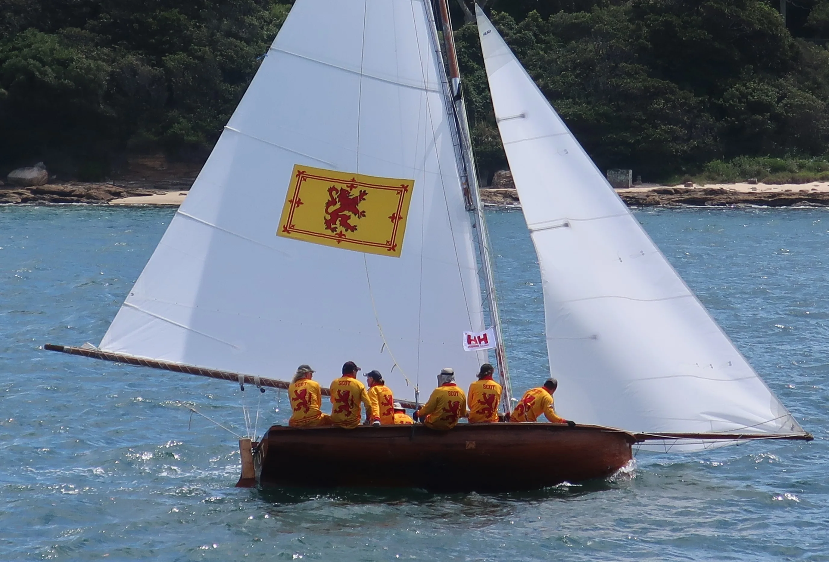 The replica Scot under sail on Sydney Harbour, red lion rampant on a yellow field on the mainsail and crew in matching lion jerseys