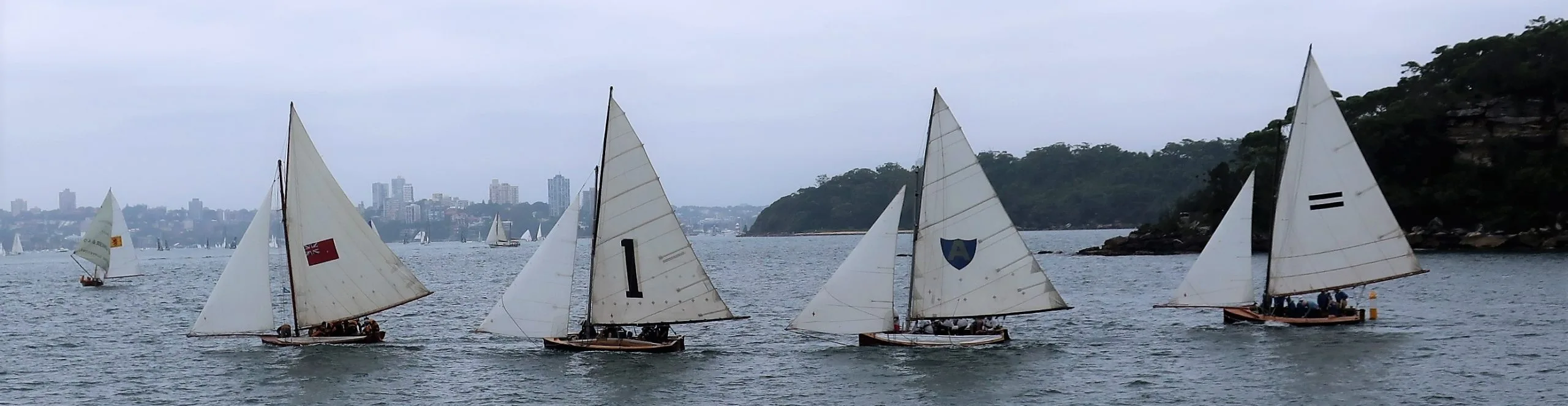 Five historic 18-footers racing together on Sydney Harbour